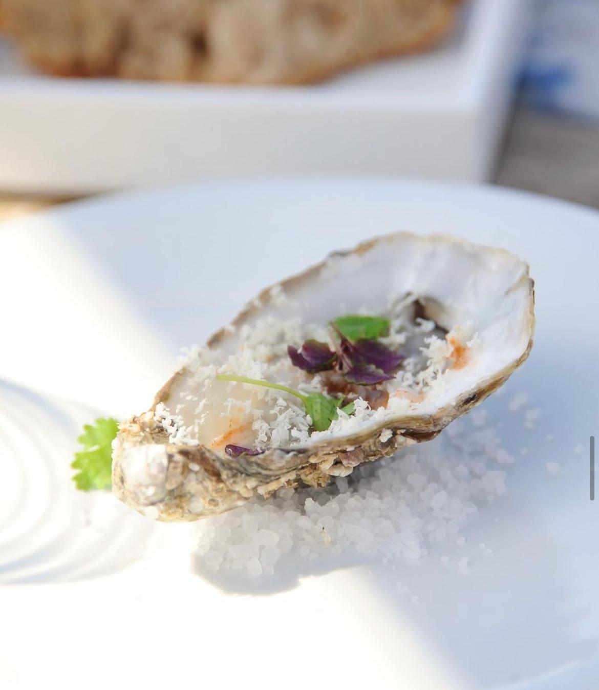 Marina Bay Beach Suites Peschici Εξωτερικό φωτογραφία