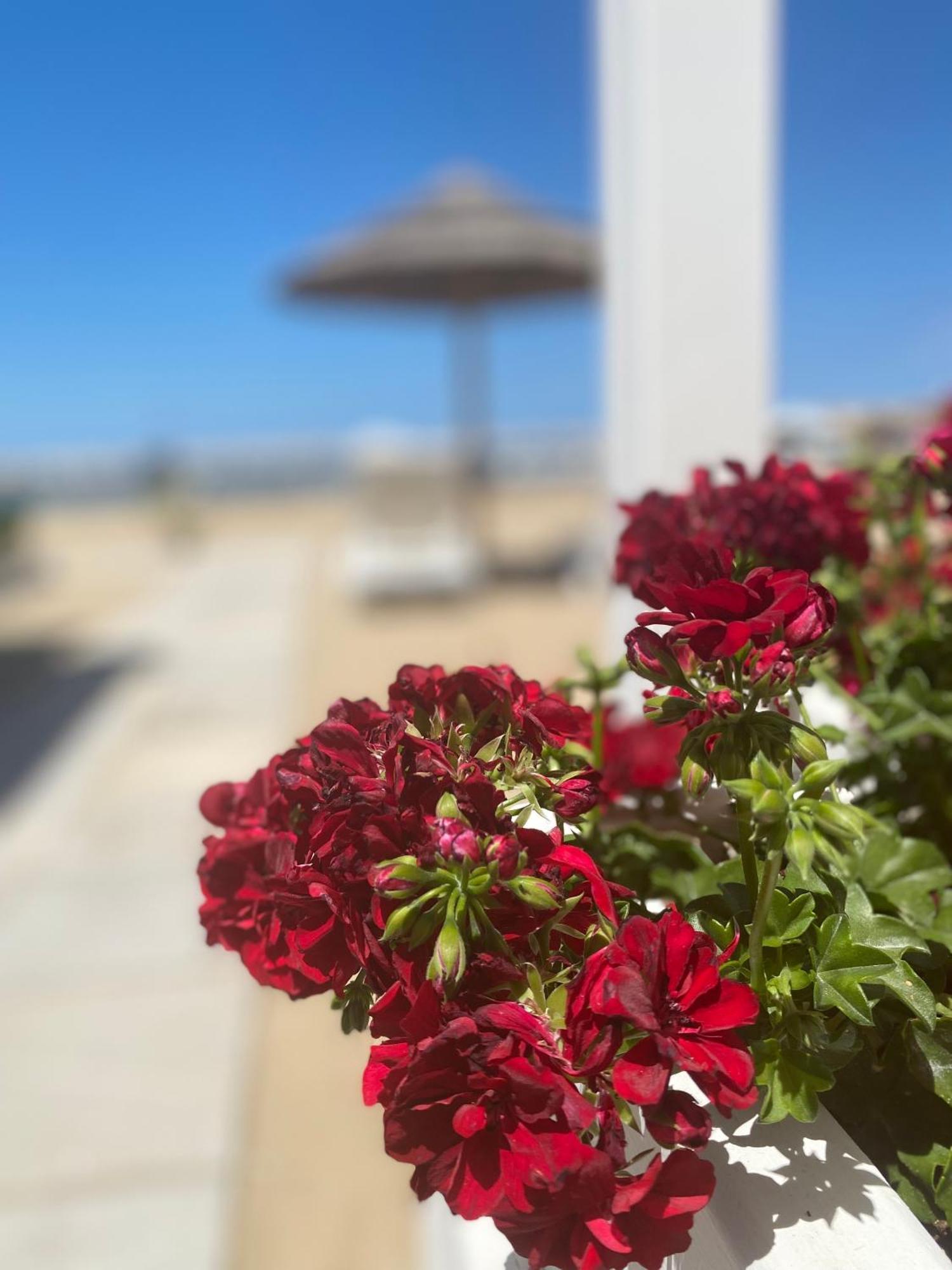 Marina Bay Beach Suites Peschici Εξωτερικό φωτογραφία